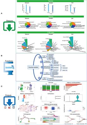 SCAD-Brain: a public database of single cell RNA-seq data in human and mouse brains with Alzheimer's disease
